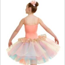 Peach and pale blue floral bodice with rainbow tutu