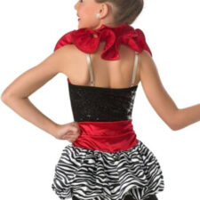 Black, red and white zebra print skirted biketard with black neck ruffle (not red as shown)