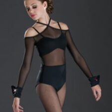 Black sheer leotard with attached briefs (bra not included)