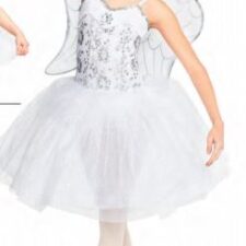 White and silver tutu (no wings)